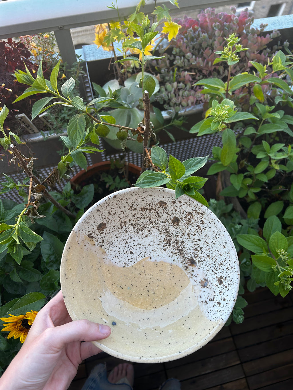 Mellem skål